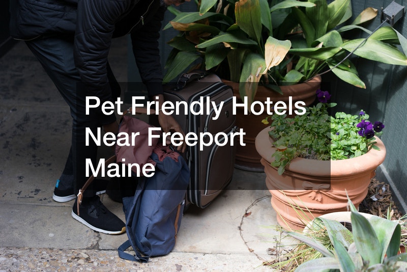 Pet Friendly Hotels Near Freeport Maine
