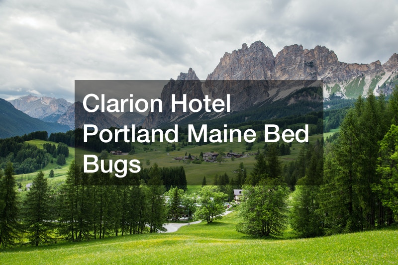 Clarion Hotel Portland Maine Bed Bugs